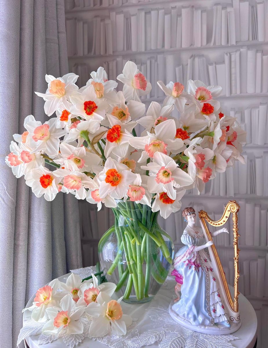 Tử vi ngày 3/6/2022 của 12 cung hoàng đạo